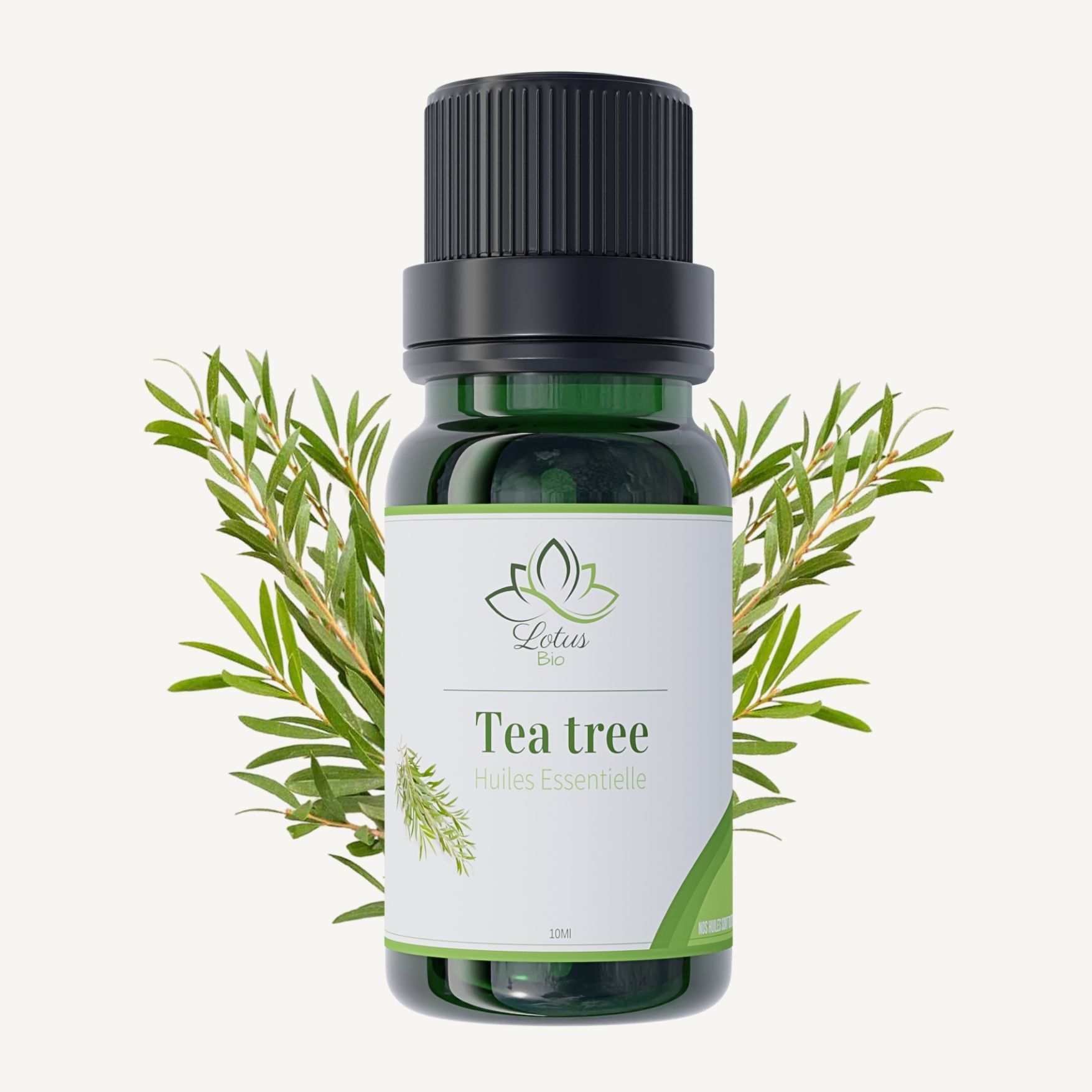 huile essentielle arbre a the bio, tea tree essential oil, huile de tea tree Maroc